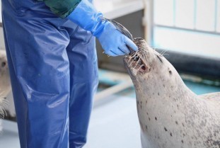 29313790_1676265245787848_8602856361887268864_o