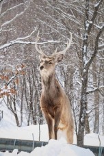 29356036_1679663812114658_1088811726075330560_n