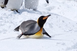 29386910_1679663442114695_5175838545511710720_o